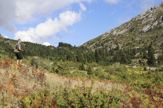 Hiking Mount Pyxarias Evia Greece 7