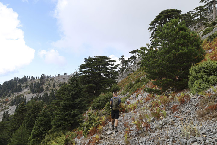 Hiking Mount Pyxarias Evia Greece 13