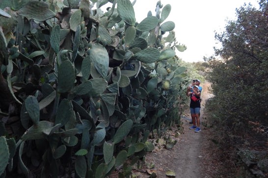 DSCN2741 Picturesque Naxos Hike Sitegallery 24