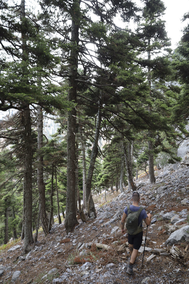 Hiking Mount Pyxarias Evia Greece 20