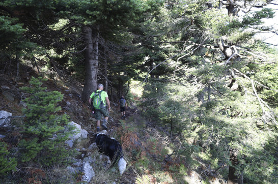 Hiking Mount Pyxarias Evia Greece 16